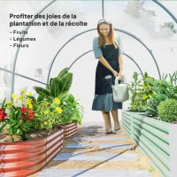 Outsunny Serre de Jardin Tunnel 6 m² 3L x 2l x 2H m châssis Tubulaire renforcé Porte zippée 2 fenêtres enroulables - transparent(m-8)