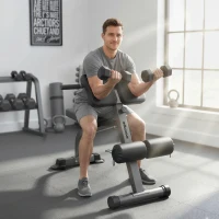 SPORTNOW Panca Romana Regolabile e Pieghevole Multifunzione, Capacità 150 kg, Argento(m-2)
