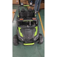 AIYAPLAY Coche Eléctrico Niños 2 Plazas UTV 24V 2 Motores Batería Litio Control Remoto Suspensión Arranque Suave 3-8 Años Verde(m-3)