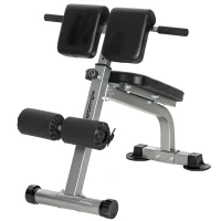 SPORTNOW Panca Romana Regolabile e Pieghevole Multifunzione, Capacità 150 kg, Argento(m-1)
