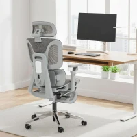 HOMCOM Ergonomic Office Chair, High Back Mesh Desk Chair, Grey(m-2)