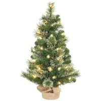 HOMCOM Brad de Crăciun Mic, Înălțime 60 cm cu 35 Luminite LED Albe, 68 Crengi Dese și Ignifuge, Verde(m-1)