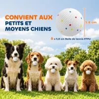 PawHut Set 6 Palline per Cani Adatte a Lanciatori Autuomatici, Galleggianti e Rimbalzanti Ø5,8 cm, Bianco(m-3)