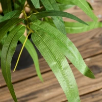HOMCOM Artificial Plants Bamboo Tree in Pot Desk Fake Plants for Home Indoor Outdoor Decor, 15x15x60cm, Green(m-7)