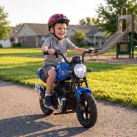 AIYAPLAY Moto da Cross Elettrica per Bambini 24V Motore 180W, 6-12 Anni, Pneumatici 30cm in Gomma, Blu(m-8)