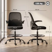 HOMCOM Scaun de Birou Ergonomic din Plasă, cu Suport Lombar și Suport pentru Picioare Reglabil, Cotiere Rabatabile, Negru(m-3)