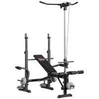HOMCOM Banc de musculation complet multifonction avec dossier réglable, banc developper coucher à plat ou incliné 180x134x200cm(m-11)