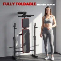 SPORTNOW Adjustable Weight Bench with Squat Rack and Dip Stand(m-6)