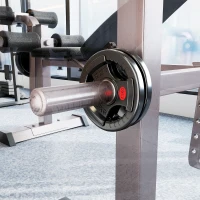 SPORTNOW Set de discuri greutate 2x2,5 kg cu orificiu de 5 cm și 3 mânere, oțel cu înveliș din plastic, negru(m-9)