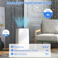 HOMCOM 16L/Day Dehumidifier with Activated Carbon Air Filter, Continuous Drainage, 5.5L Water Tank, 24H Timer, Humidity Light, Dehumidifier for Home Damp, Bedroom, Condensation, Mould, Laundry Drying(m-4)