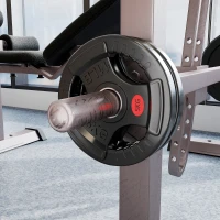 SPORTNOW Set de discuri greutate 2x2,5 kg cu orificiu de 5 cm și 3 mânere, oțel cu înveliș din plastic, negru(m-7)