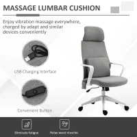 Vinsetto Office Chair, Fabric Desk Chair, Computer Gaming Chair with 2 Points Massage Lumbar Pillow, Adjustable Headrest and Seat Height, Rolling Swivel Wheels for Home Work Study, Grey(m-4)