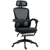 HOMCOM Ergonomic Office Chair, Mesh High Back Desk Chair with Adjustable Lumbar Support and Headrest, Footrest, Reclining Executive Swivel Computer Chair for Home Study, Black(m-1)