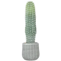 HOMCOM Cactus Artificial 66 cm, Planta Artificial Decorativa con Maceta para Decoración del Interior Verde(m-1)