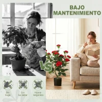 HOMCOM Planta Artificial de Camelia 65 cm Árbol Artificial en Maceta con Flores de Seda Realistas 116 Hojas Efecto Musgo Rojo(m-5)