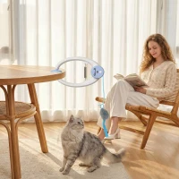 PawHut Interactive Cat Toys for Indoor Kittens & Adult USB Rechargeable Door Hanging Bouncing Mouse Teaser(m-9)