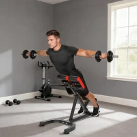 SPORTNOW 45-Degree Hyperextension Roman Chair, 5-Level Adjustable Back Extension Bench, Heavy-Duty Home Gym Equipment, Red(m-10)