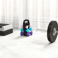 SPORTNOW Set 6 Manubri Pesi (2x1 kg, 2x2 kg, 2x3 kg) da 12 kg con Supporto/Kettlebell, in Metallo e PP Rosa, Azzurro e Viola(m-9)