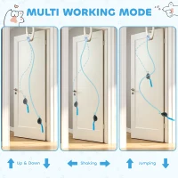PawHut Interactive Cat Toys for Indoor Kittens & Adult USB Rechargeable Door Hanging Bouncing Mouse Teaser(m-4)