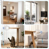 PawHut Interactive Cat Toys for Indoor Kittens & Adult USB Rechargeable Door Hanging Bouncing Mouse Teaser(m-6)