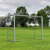 SPORTNOW Porta da Calcio Grigia 240x85x160 cm con Viti e Picchetti inclusi, in PE e Metallo(m-10)