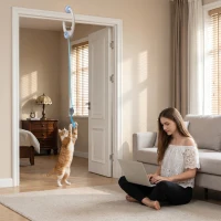 PawHut Interactive Cat Toys for Indoor Kittens & Adult USB Rechargeable Door Hanging Bouncing Mouse Teaser(m-2)