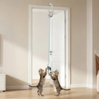 PawHut Interactive Cat Toys for Indoor Kittens & Adult USB Rechargeable Door Hanging Bouncing Mouse Teaser(m-8)