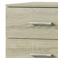 HOMCOM Cómoda 6 cajones, Mueble de almacenamiento, Estilo moderno, para dormitorio, entrada, pasillo, 40x40x110cm, Roble(m-6)