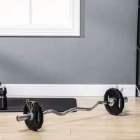 SPORTNOW Conjunto de 2 Discos de Pesas de 5 kg con Orificio de 50 mm para Entrenamiento de Fuerza  Ø24x3,5 cm Negro(m-10)