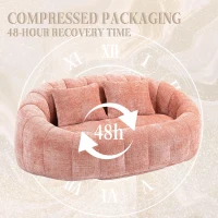Cozy Oversized Bean Bag Sofa with 2 Matching Pillows, Soft 2-Seat Sectional Couch for Living Room and Bedroom, 145L x 95W x 63H cm, Pink(m-5)