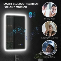 HOMCOM 50 x 70 cm Backlit Illuminated Bathroom Mirror with LED Lights and Bluetooth - Silver Tone(m-5)