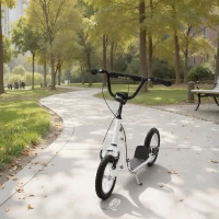 HOMCOM Monopattino con Manubrio Regolabile, Ruote Grandi, 2 Freni e Telaio in Metallo, per Bambini 5+ Anni, Max 100kg, 120x58x85-95cm, Bianco(m-10)