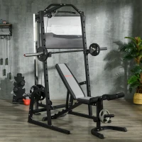 SPORTNOW Power Tower Multifunzione con Panca per Addominali e Porta Bilanciere Regolabile, Nero(m-9)