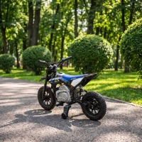 AIYAPLAY Elektro Motorrad Kinder HONDA CRF 450R 12V Kinder Motocross mit 35W Motor Lithium Akku Hinterradfederung 12 Zoll Rädern(m-9)