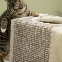 PawHut Tunnel per Gatti Pieghevole con Casette, Tiragraffi e Pallina in Peluche e Sisal, Crema(m-8)