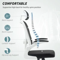 HOMCOM Executive Office Chair, Ergonomic Mesh High Back Desk Chair with Flip-up Armrest, Rotatable Headrest, Adjustable Lumbar Support for Home Study, Black(m-4)