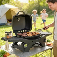 Outsunny 2 Burner Gas Grill with 2 Detachable Side Tables, 3.8 KW Steel Barbecue Grill with Cast Iron Grates, Lid, Thermometer(m-11)