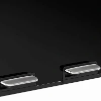 HOMCOM 2 x 30L Double Kitchen Bin, Stainless Steel Pedal Rubbish Bin with Dual Compartments, Soft Close Lids, High Gloss Black(m-11)