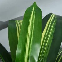Outsunny Set of Two Artificial Dracaena Plants(m-9)