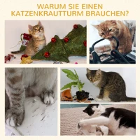 PawHut krabboom met speelballen, krabpaal voor katten, krabpaal met sisal, zwart + grijs, 36 x 36 x 44 cm 36 x 36 x 44 | Aosom.nl(m-7)
