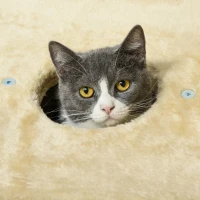 PawHut Kattenkrabpaal met Kattenhol, Ligplatform, Speelbal, 45x40x74cm, Beige(m-8)