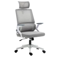 Vinsetto Bureaustoel Schrijftafelstoel Kantoorstoel, in hoogte verstelbaar, 1 Hoofdsteun, 58 x 61 x 119 cm, Grijs(m-10)