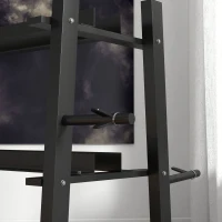 SPORTNOW hantelstandaard voor dumbells, kantelbare dumbells, halterschijven, 3 niveaus, aanpasbaar, staal, 131 x 75 x 80 cm, zwart(m-9)