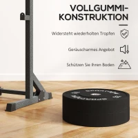 SPORTNOW Halterschijvenset, 2 x 20 kg, Olympische standaard, Rubber, Geluidsarm, Zwart(m-4)
