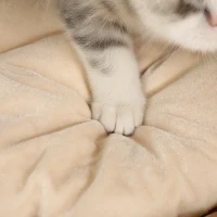 PawHut Krabton, 50 cm, 2 Grotten, Kussen, Krabpaal met Kattenbed, Kattentoren van Waterhyacint, Lichtbruin(m-8)