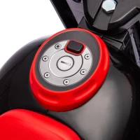AIYAPLAY Moto porteur enfant moto draisiènne avec musique et bulles roues larges pour enfants de 2 à 5 ans 80 x 35,5 x 42 cm noir(m-9)