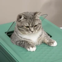 PawHut Hooded Cat Litter Box, Portable Pet Toilet, with Scoop, Front Entry - Green(m-8)