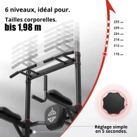 Power Tower Dip-Station barre de traction, double base triangulaire, multifonctionnelle, 107,4x81,3x235 cm, Noir(m-8)