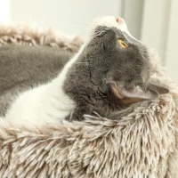PawHut Kattenboom, 87 cm, Kattentoren met Dikke Krabpaal, Pluchebed, Binnen, Draagt tot 6 kg, Bruin(m-8)