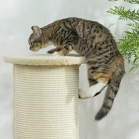 PawHut krabpaal voor katten 85 cm, hoekontwerp, ruimtebesparend, 35 cm x 35 cm x 85 cm, roomwit(m-8)